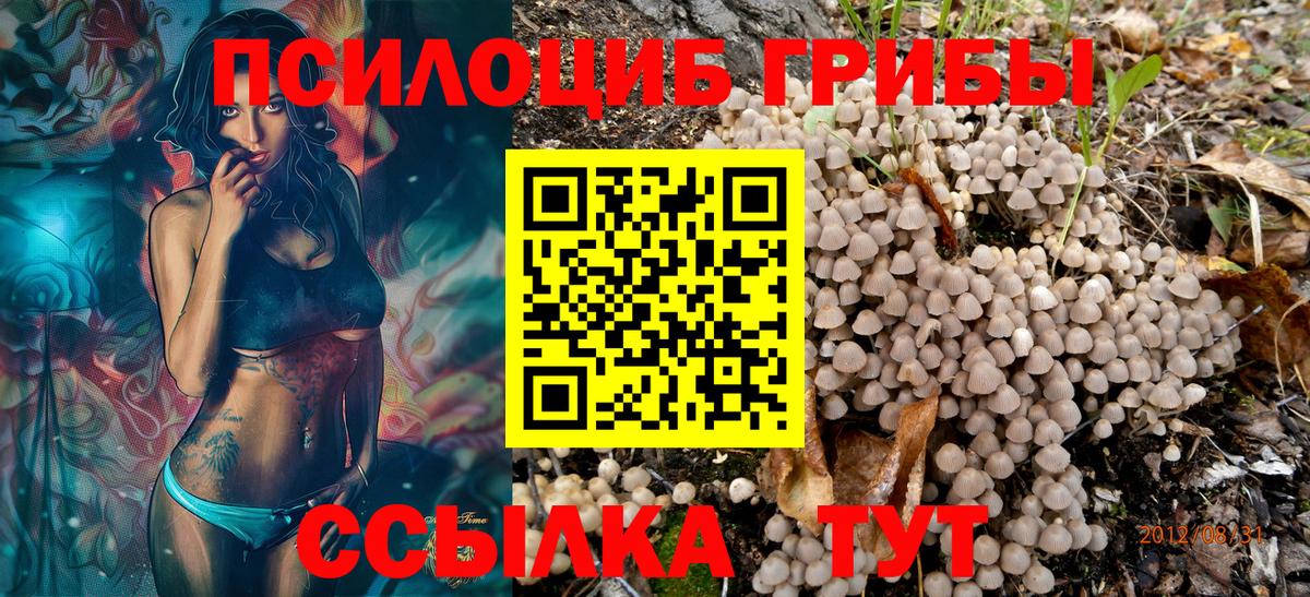 Псилоцибиновые грибы MAGIC MUSHROOMS Крымск